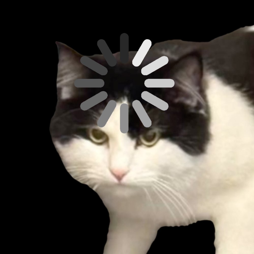 Alpha_tweetsss's tweet photo. @Lvnten Loading cat
#loadingcat
2WucrPWKrDoG8iogSpzKTy9yNaCQAbkb8Pf9Ge8NxZuD https://t.co/oNn7SkU8Vc