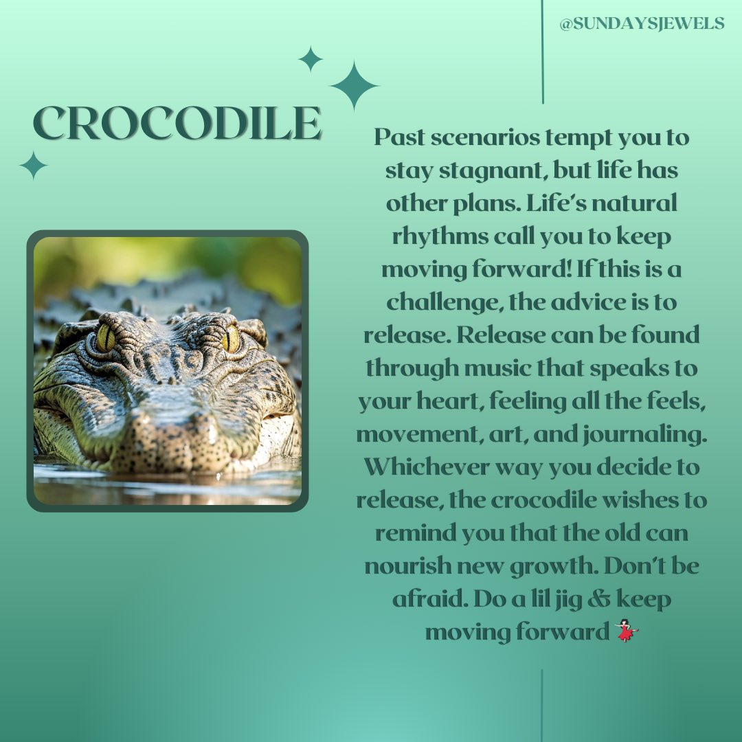 Lily // ๐๐ฎ๐ง๐๐๐ฒโ๐ฌ ๐๐๐ฐ๐๐ฅ๐ฌ tweet media