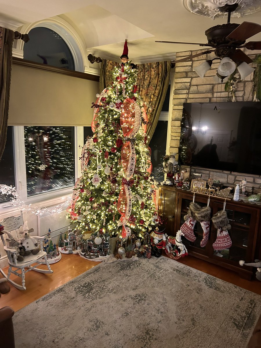 Ils sont prêt pour Noël ici à la maison! 😊