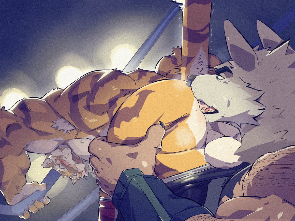 TiggonTheGreat's tweet photo. Commision request for @bcokami !

We put on a good show ! 🐯🆚🐺🍑👅💦💦 https://t.co/HFy3zMsWIP
