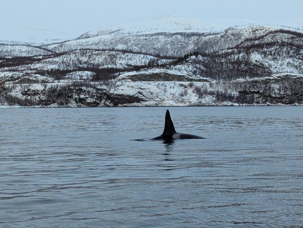 UndoneBuilder tweet media