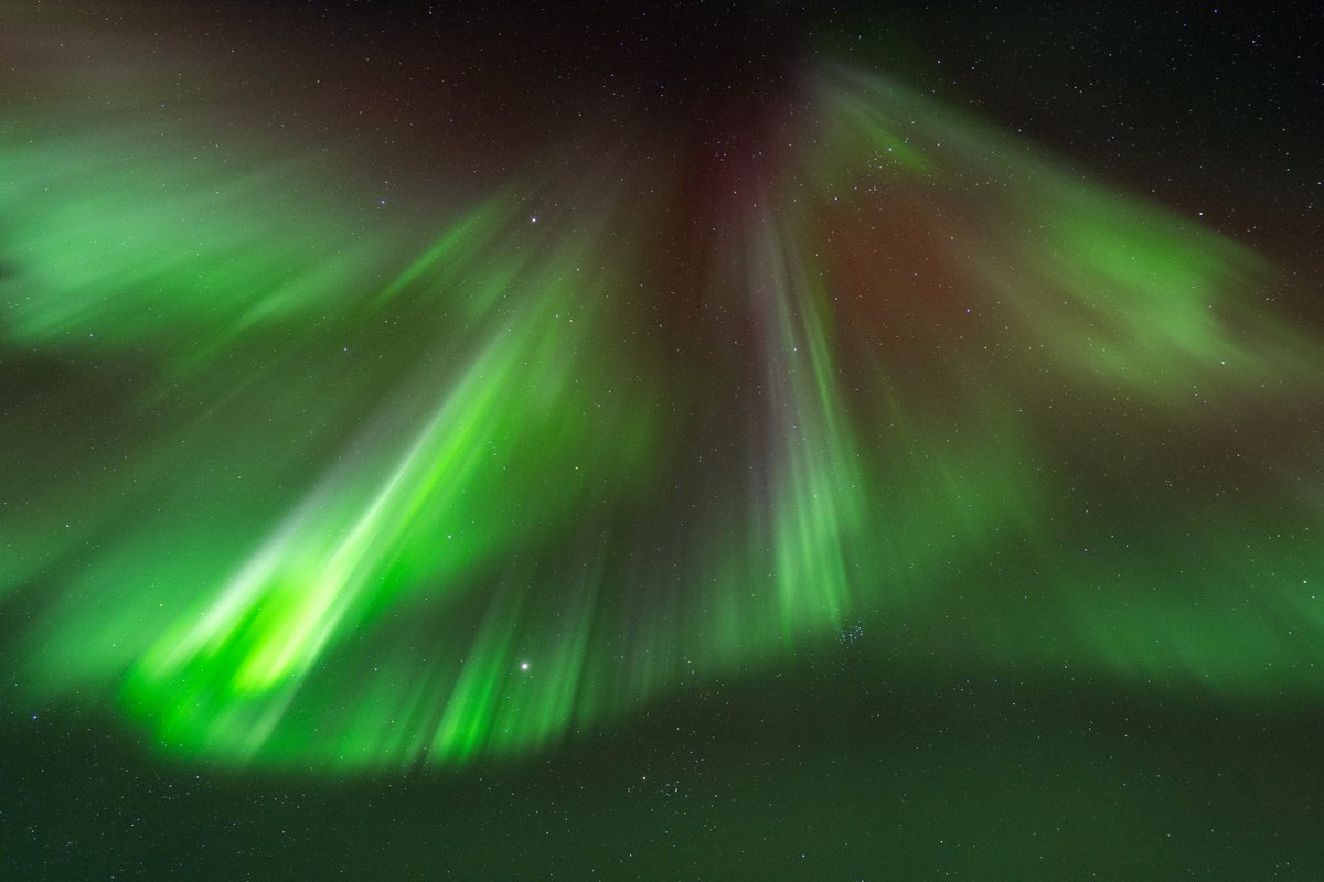 UndoneBuilder tweet media