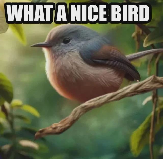 🕐HOURLY🕑 shitpost (@hourly_shitpost) on Twitter photo 