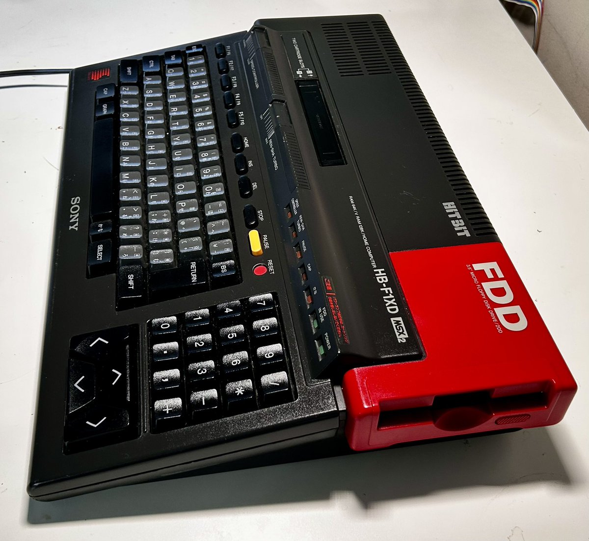 🕹 Javmaster@bsky.social🧢 tweet media