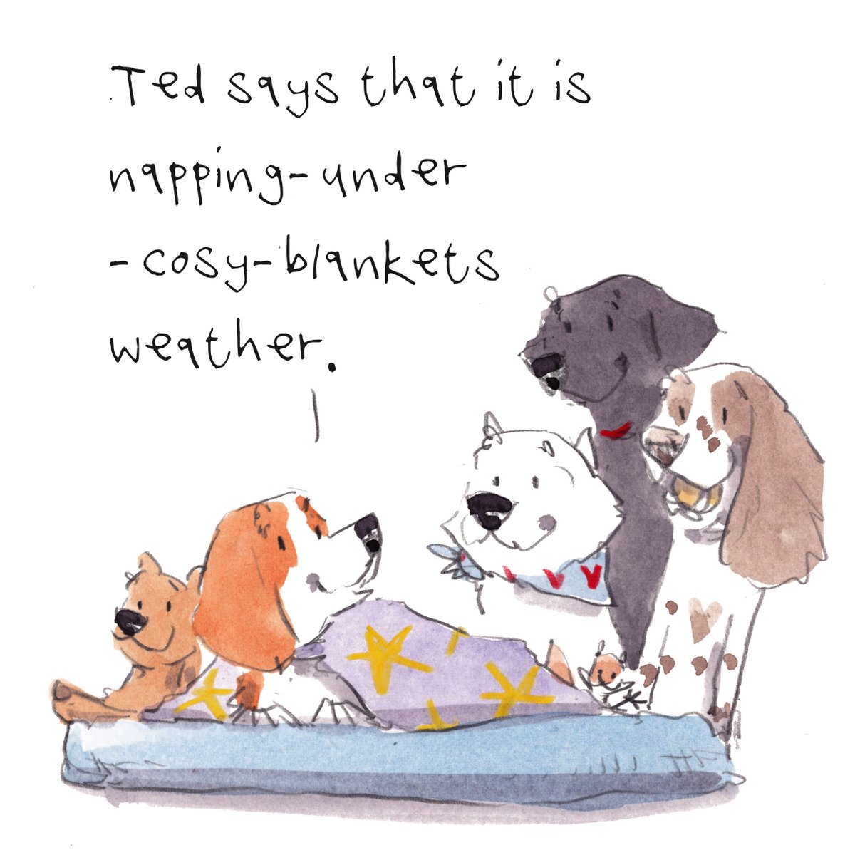 Good night, lovely people and lovely dogs.
Ted gives the best advice.
Sleep well and sweet dreams.
I hope that you have a really wonderful weekend. 
#hoorayfordogs #beagle #westie #labrador #springer #redsquirrel #teddybear