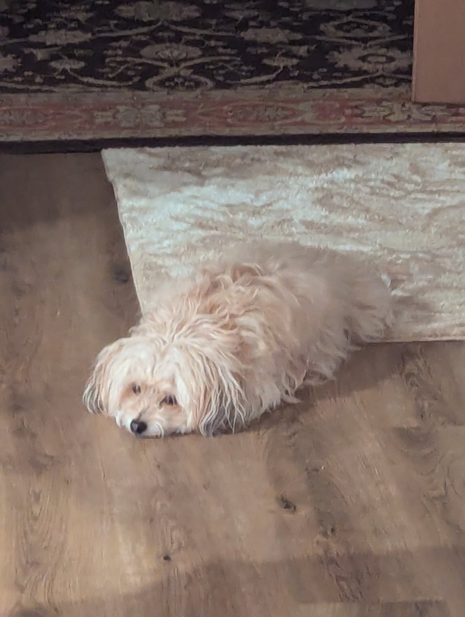 egg ❄️ tweet media