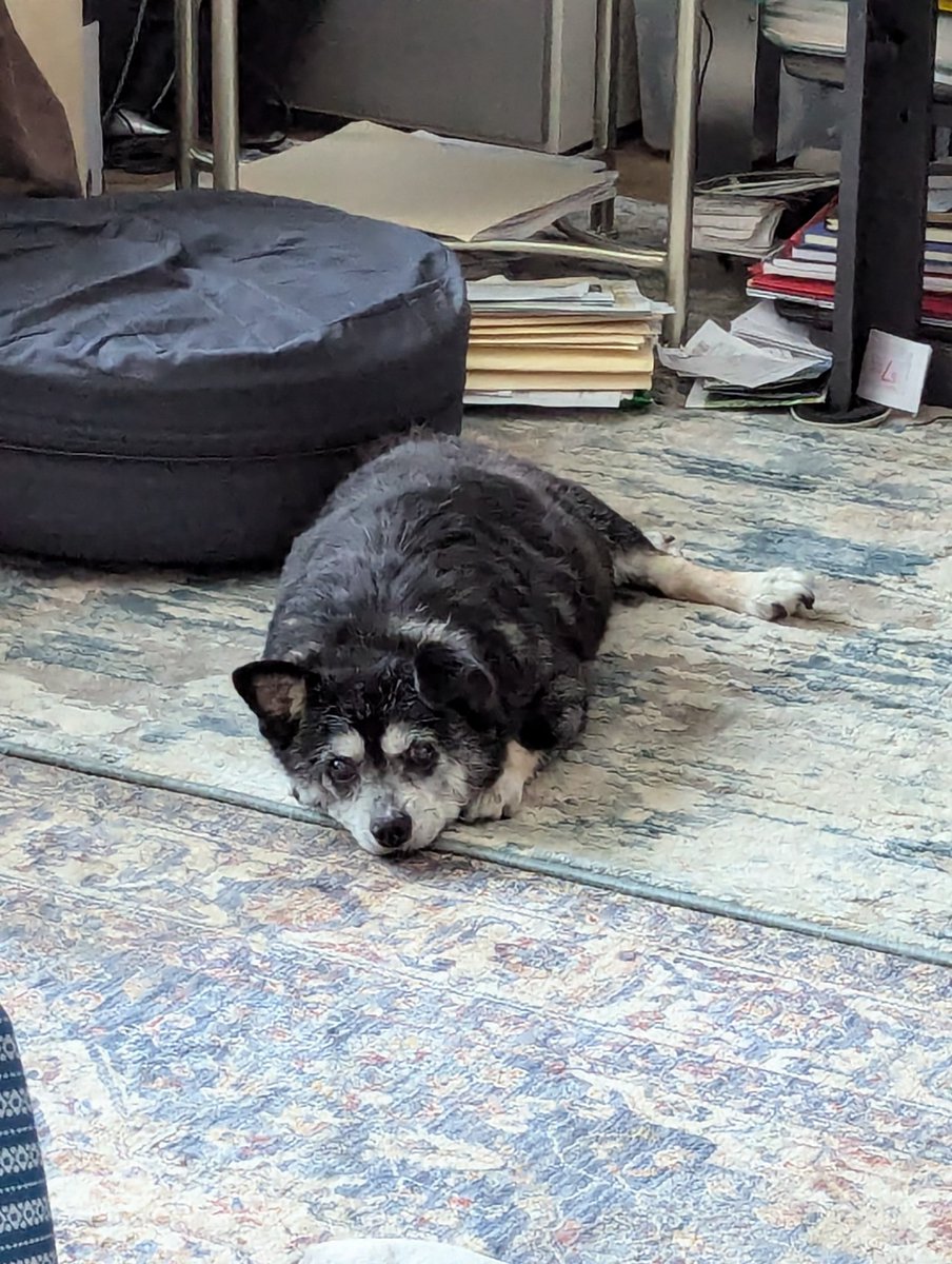 egg ❄️ tweet media