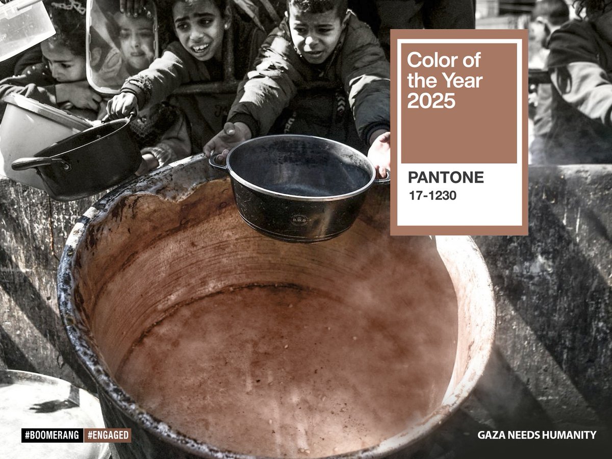 Samira RAFI tweet media