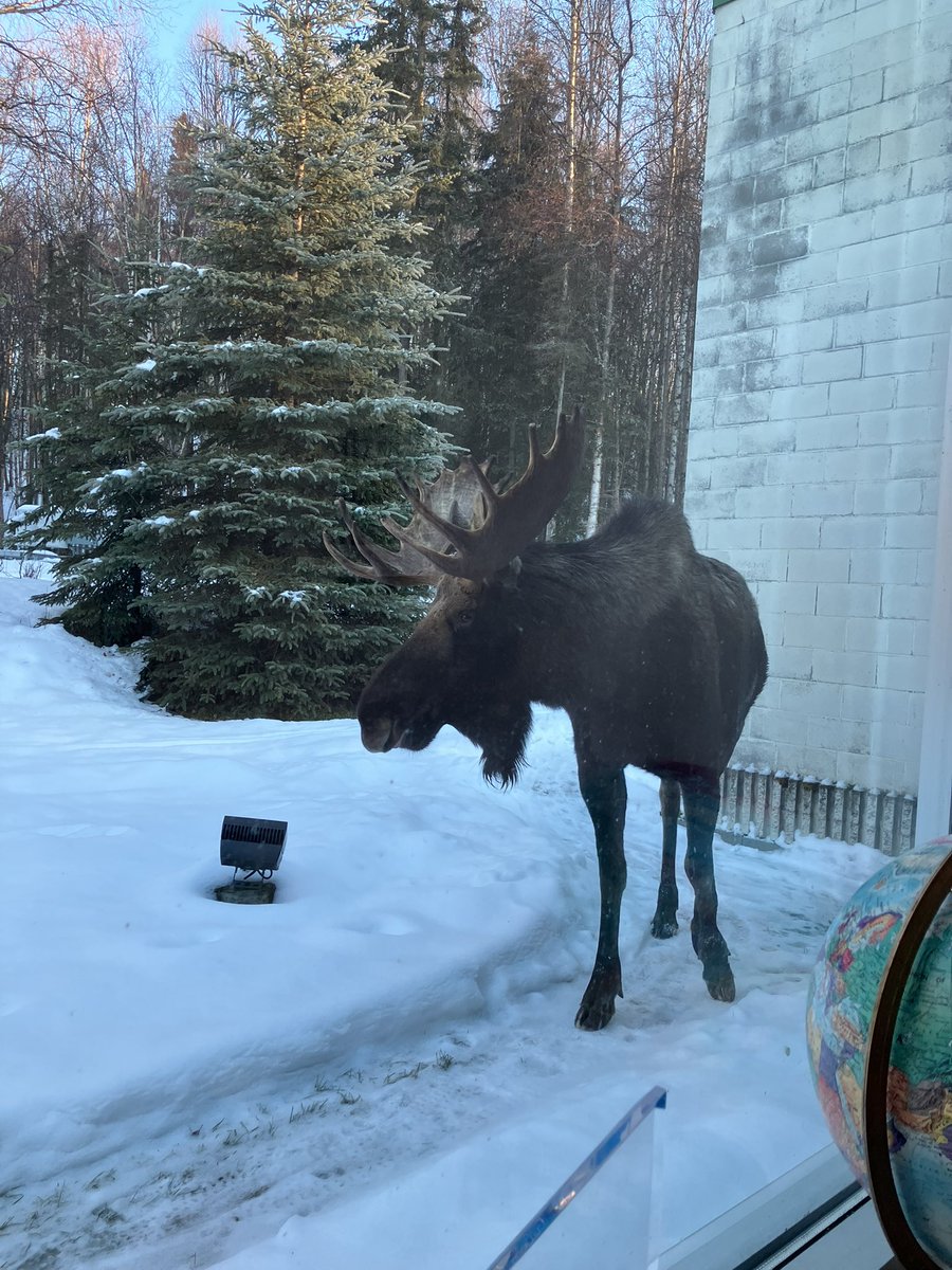 Lori Townsend tweet media