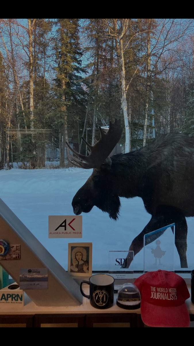 Lori Townsend tweet media