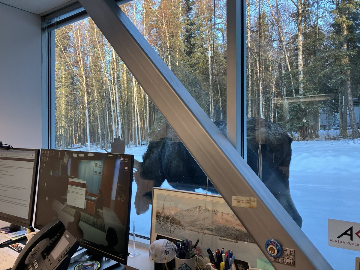 Lori Townsend tweet media