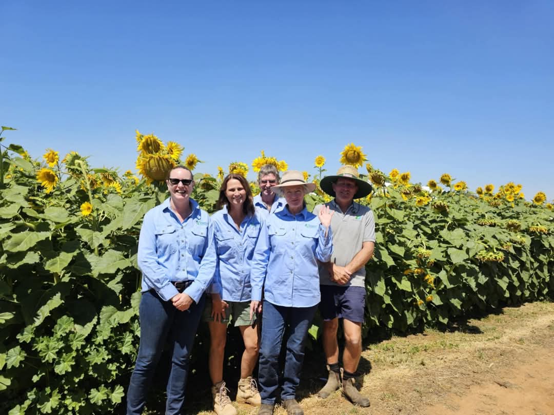 Charlotte Aves tweet media