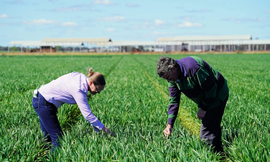 Charlotte Aves tweet media