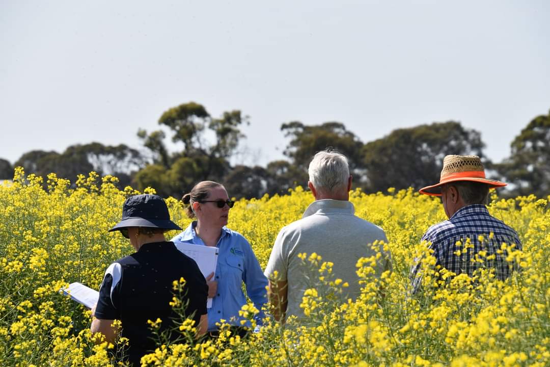 Charlotte Aves tweet media