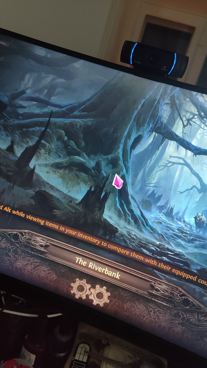 Catherine tweet media