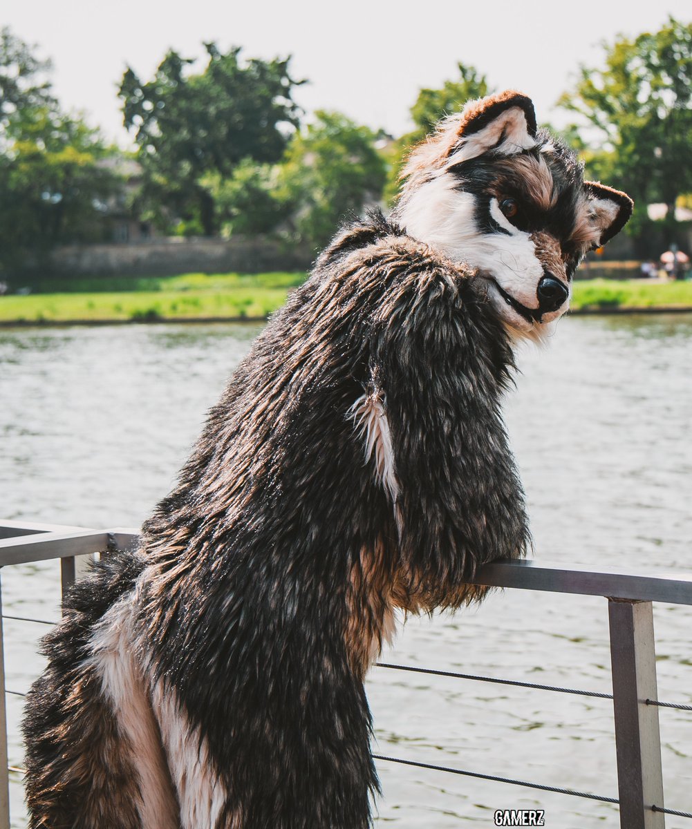 Happy #FursuitFriday
#FursuitWalk Kraków 2024
photo by Gamerz