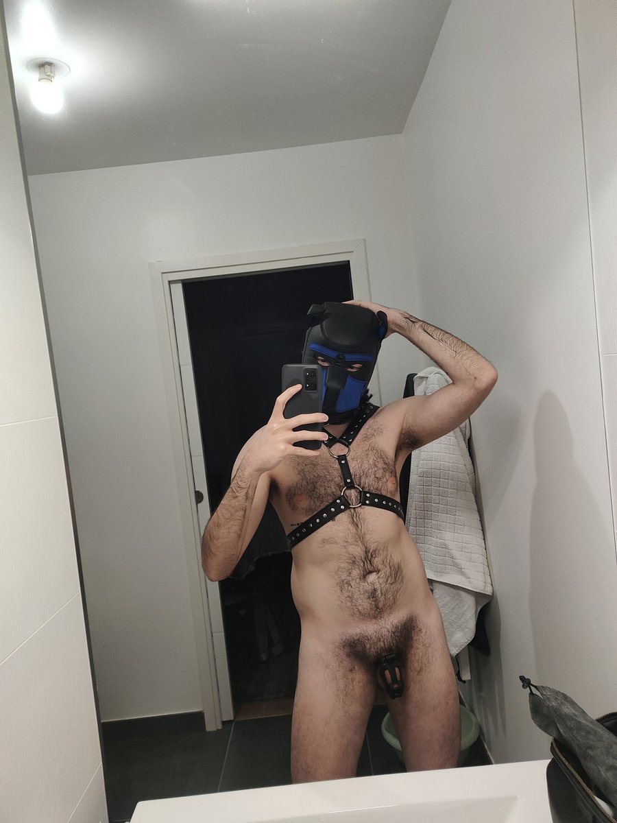 btmmur's tweet photo. This puppy just wants to play #puppy #youngsub #chastity https://t.co/l2uCpJsJx9