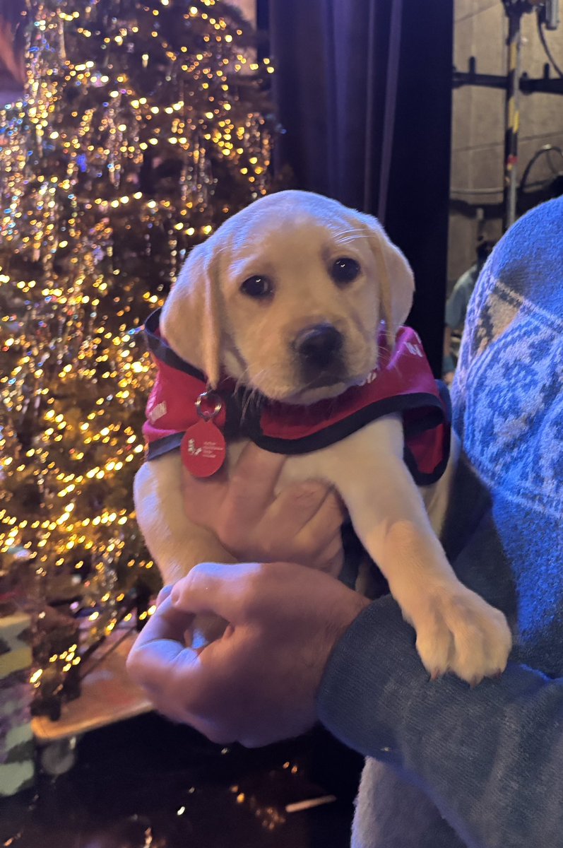 The Late Late Show (@rtelatelateshow) on Twitter photo Star 🥹🥹
#LateLateToyShow #LateLate Star 🥹🥹
#LateLateToyShow #LateLate