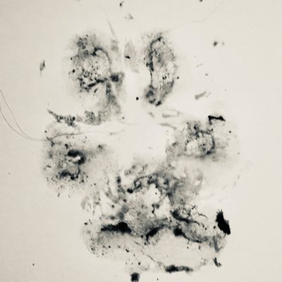 RosieMaryBush's tweet photo. #NewProfilePic #Lottie #Lottso #FurBaby #LabRottie https://t.co/JgwL9Pg6cP