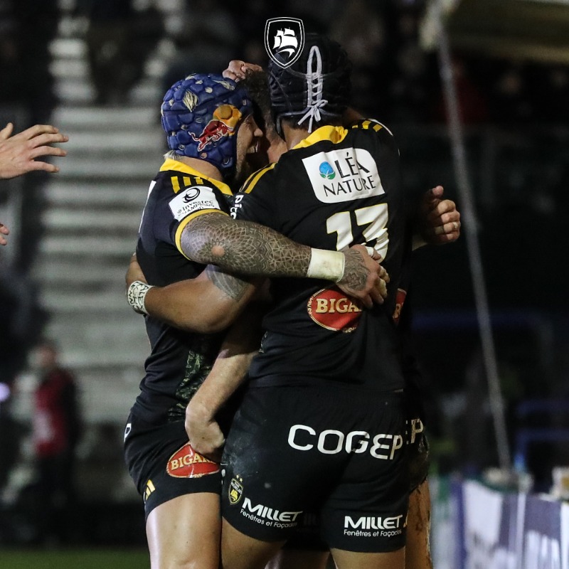staderochelais's tweet photo. 💛

#BATvSR | #InvestecChampionsCup | #FievreSR