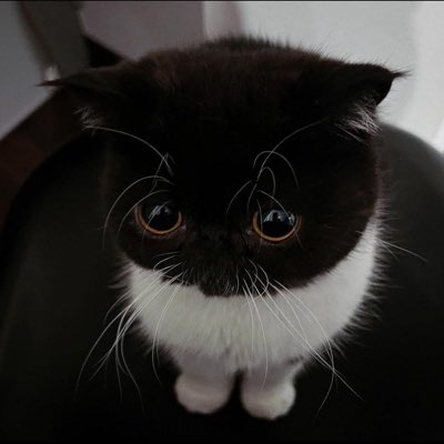 ScarlwtD's tweet photo. #NewProfilePic https://t.co/Nkra5gSrgK