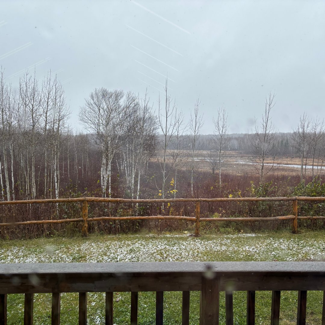 EcoSchoolsCAN's tweet image. 🌟 A heartfelt thank you to all the amazing educators in #NL who joined us at the EcoSchools Teachers Conference in Grand Falls – Windsor! Your passion and dedication to fostering sustainable practices in our schools are truly inspiring. 

#NewfoundlandAndLabrador #EcoConference