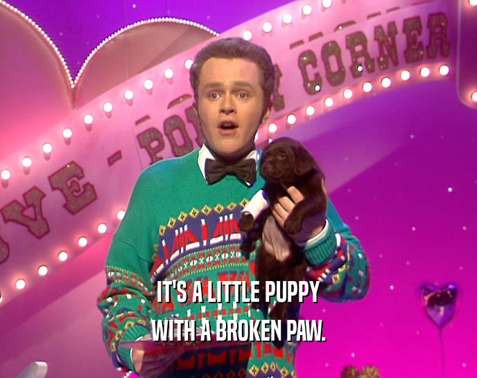 HughConaghan's tweet photo. Star of the show 🐶😁 #LateLateToyShow https://t.co/D2ozy6k56Y
