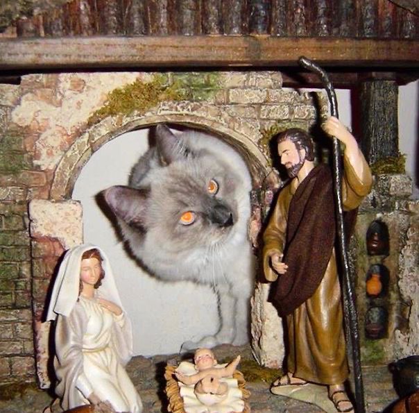 "WHICH PART OF NO ROOM AT THE INN ARE YOU NOT GETTING JOE"