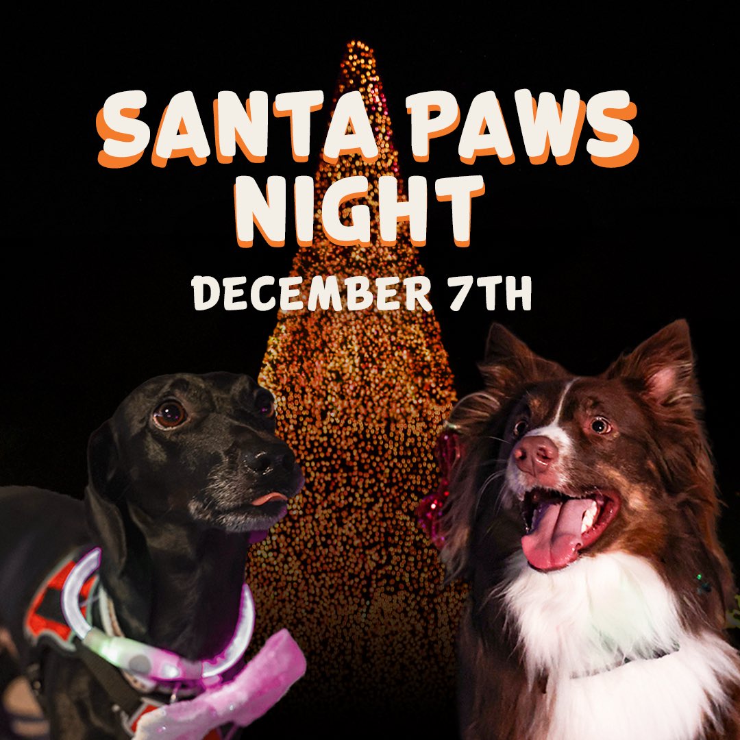 Get ready for a paw-some holiday celebration at Santa-Paws Night on Dec. 7! 🐾🎄 BUT the treats aren't just for the pups — humans can enjoy the Tito's Handmade Vodka 21+ Lounge. Snag your tickets now at PeppermintParkway.com! 🐶❄️