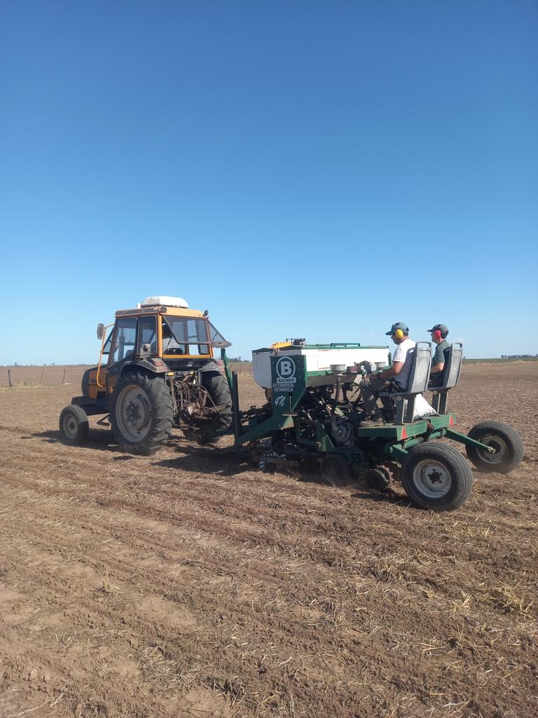 Red UBA de ultrabajadensidad de maiz en tres ambientes productivos. EEA INTA General Villegas.  <a href="/Gustavomaddonni/">Gustavo</a>