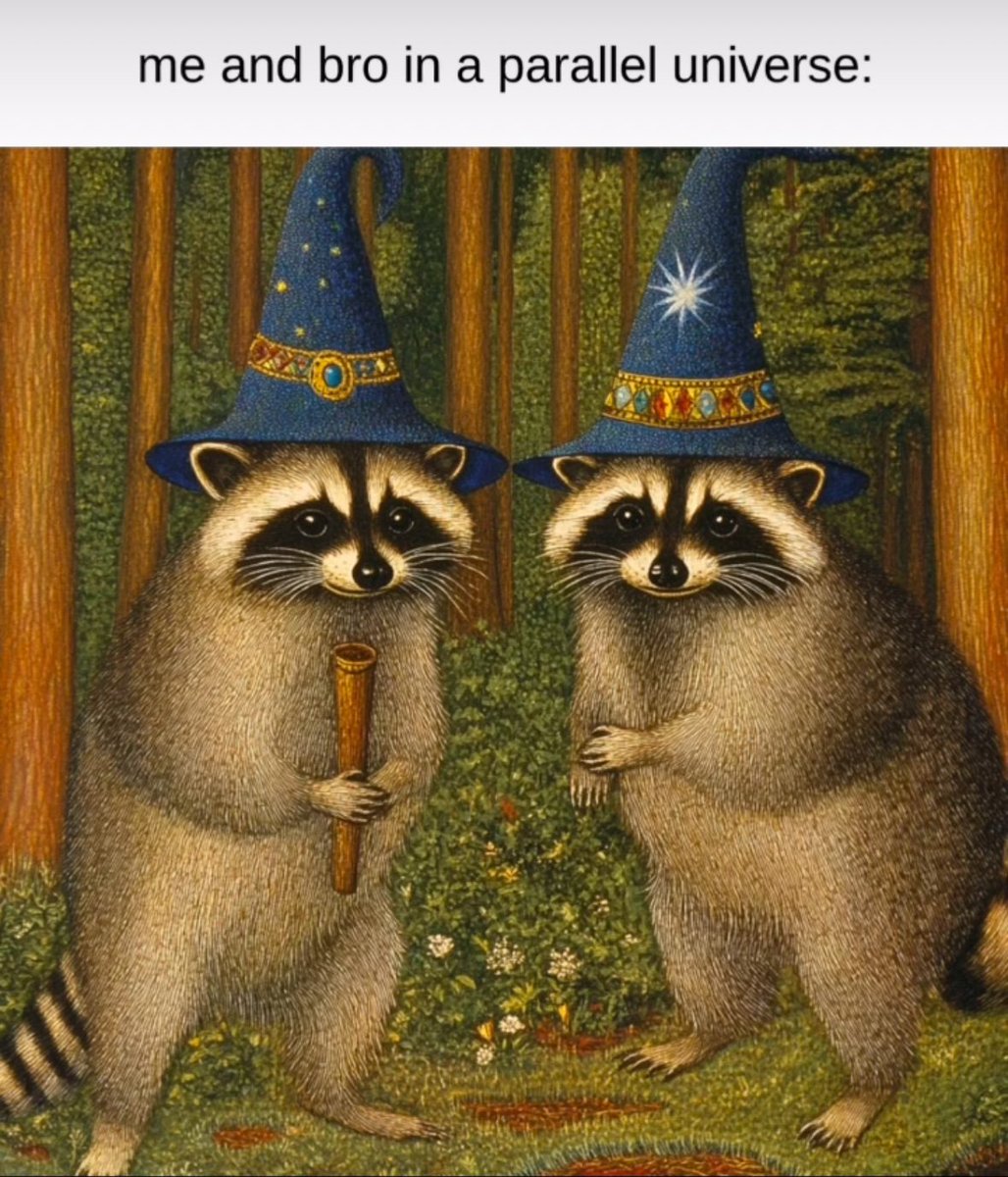 raccoon aesthetic. tweet media