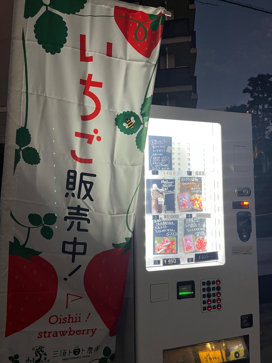MisuTomatoFarm's tweet photo. おはようございます🍓

今朝の蜂さん🐝
やよいひめも花が咲き始めました🍓

本日も直売所にていちご販売しております🍓
京成西船近くの自動販売機でもいちごの販売しております❤️ぜひお立ち寄りください。

#三須トマト農園
#いちご #トマト
#直売所
#自動販売機  
#イチゴの花 https://t.co/Uv1gxuGrPP