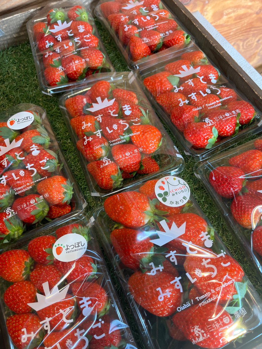 MisuTomatoFarm's tweet photo. おはようございます🍓

今朝の蜂さん🐝
やよいひめも花が咲き始めました🍓

本日も直売所にていちご販売しております🍓
京成西船近くの自動販売機でもいちごの販売しております❤️ぜひお立ち寄りください。

#三須トマト農園
#いちご #トマト
#直売所
#自動販売機  
#イチゴの花 https://t.co/Uv1gxuGrPP