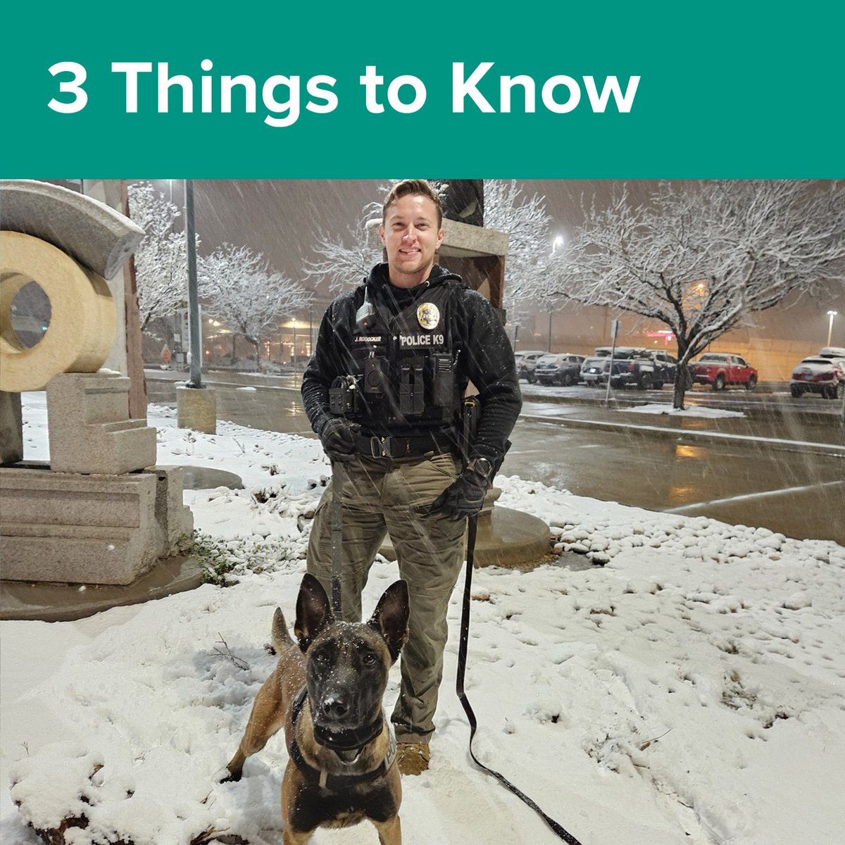 RideRTD's tweet photo. Want to stay updated on all things RTD? Check out #3ThingsToKnow for your weekly roundup of fresh updates:
1. K-9 units enhance RTD police force
2. H and R Line shuttles next week for rail maintenance
3. See the RTD winter parade bus in the #ParadeofLights
https://t.co/pxx0VvuEZe https://t.co/o0FDTY39tD