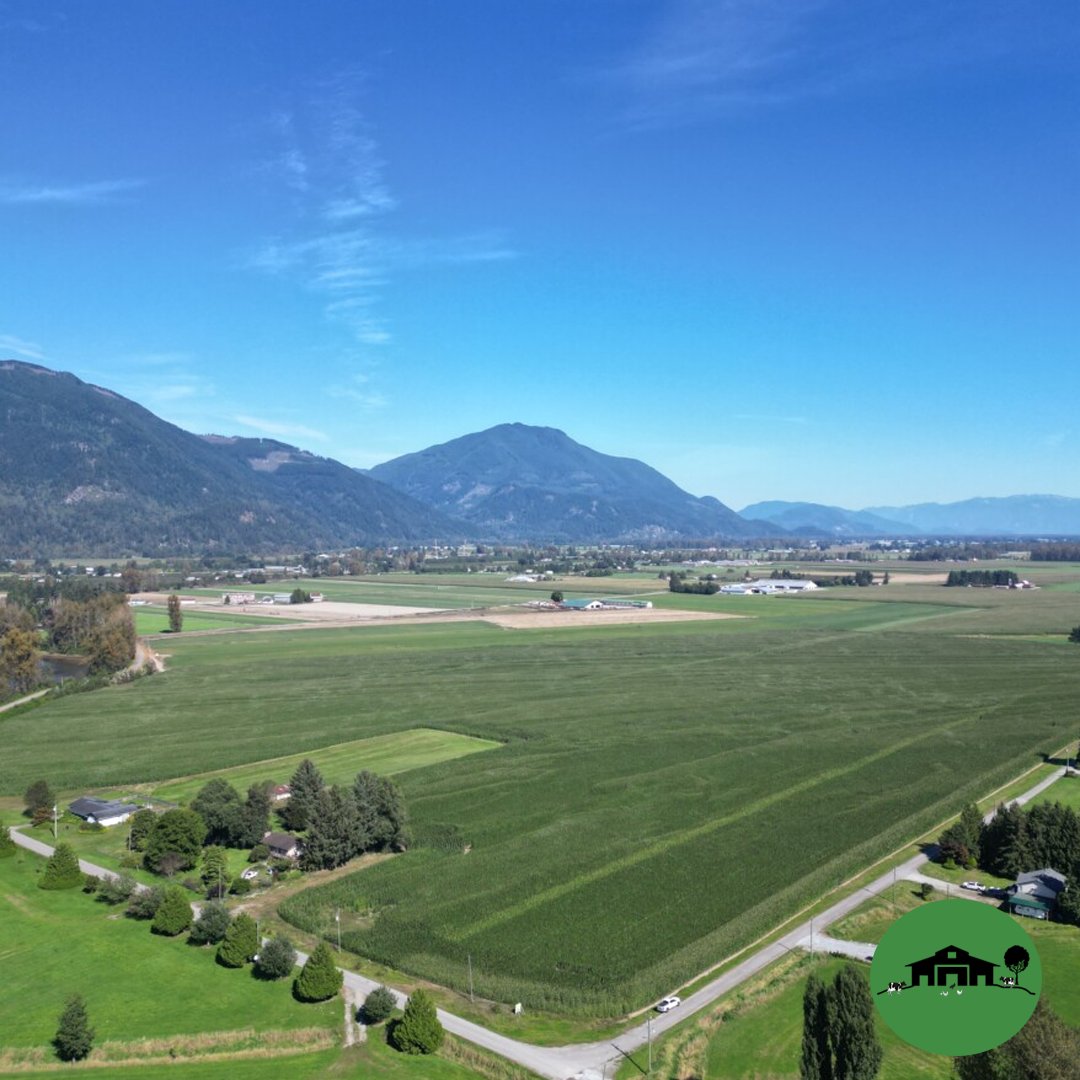 gordhouweling's tweet image. 🌾 49-acre farm near Mission! Prime land w/ road frontage &amp;amp; rich soil. Perfect for dairy/nursery/berries. Option for +103 acres! 🚜 

Details: gordhouweling.ca/listings/49-ac…
 
#BCFarms 🏡