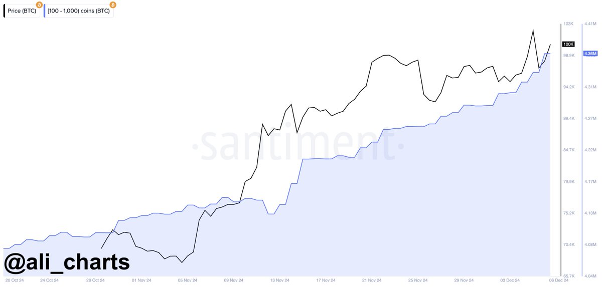 alicharts's tweet photo. #Bitcoin whale accumulation is going parabolic. They just bought another 20,000 $BTC in the last 24 hours, valued at $2 billion! https://t.co/jkbTPvr0rt