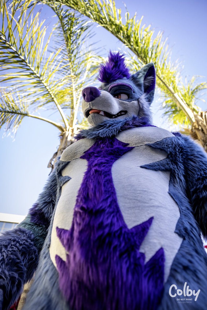 What are you up to down there? #FursuitFriday 
📸: <a href="/colby_husky/">Colby! - colby.dog</a>