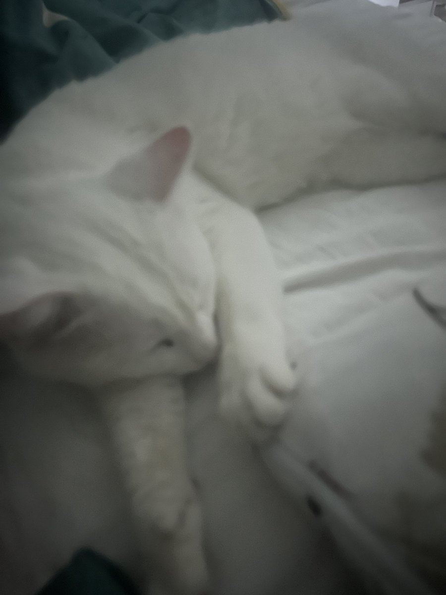 İki temas bağımlısı birbirini buldu diyebilir miyiz