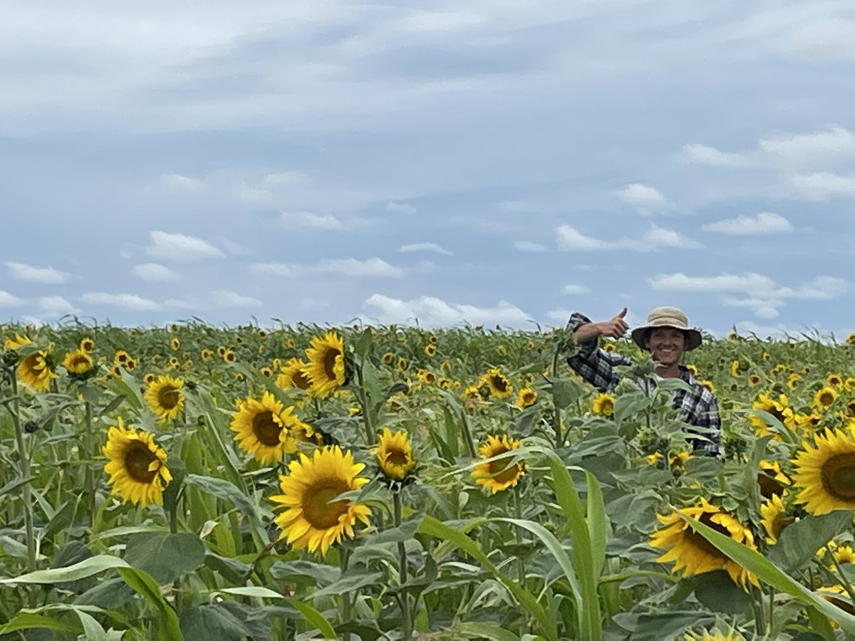 I just ran a google scholar search of published science using the term “regenerative agriculture”. Of the first 100 search results, only 6 actually measured regen farms (3 were Ecdysis studies). Review articles are not helping the movement. Science is falling down on the job.