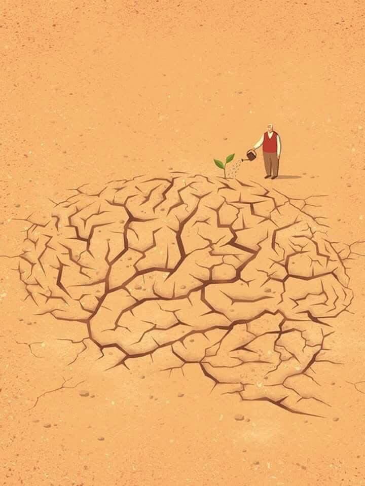 ISSLAMO 🇵🇸 tweet media