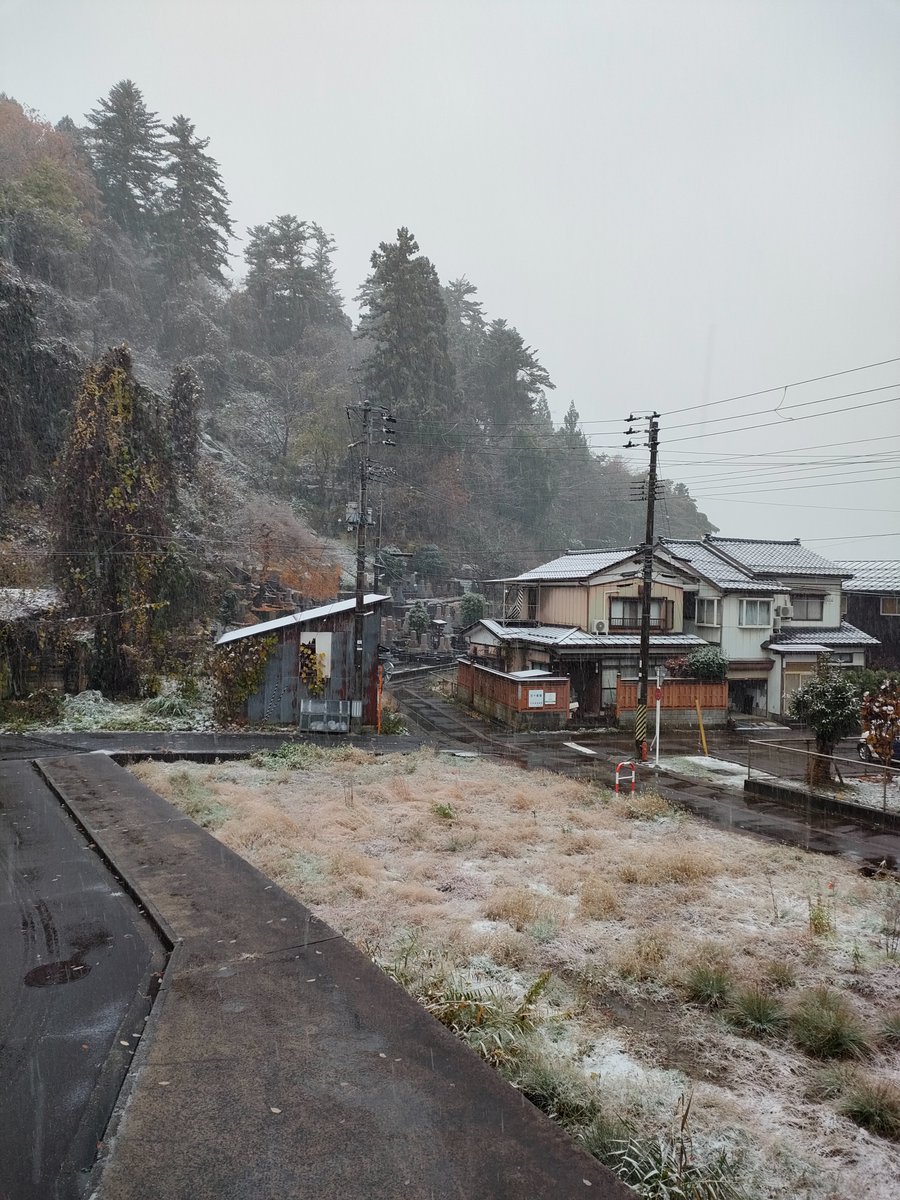 朝に白くなってるのは、今年初めて