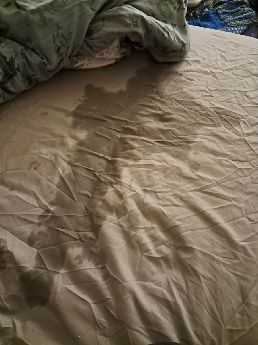 Dieu me dit vraiment d'aller me faire foutre