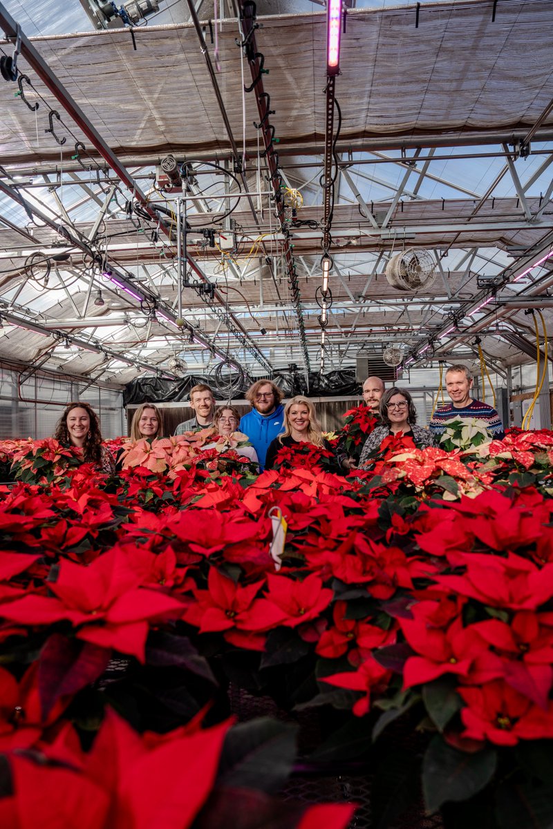 Amy Parsons tweet media