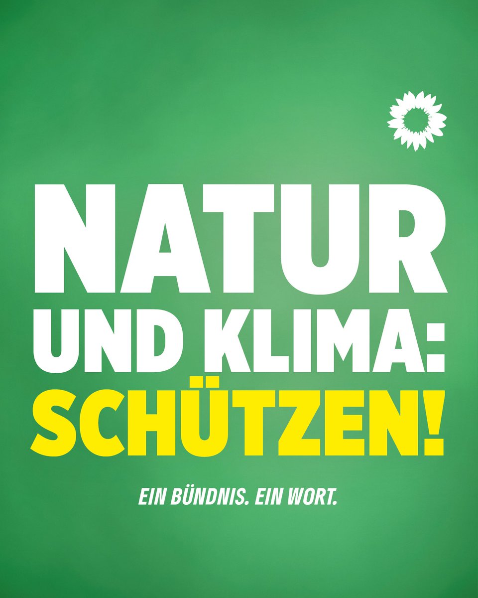 Hast du die Wahlplakate von Bündnis 90/Die Grünen schon gesehen? Dieses hier finde ich besonders gelungen: teilen.gruene.de/s/bW8JyFgA