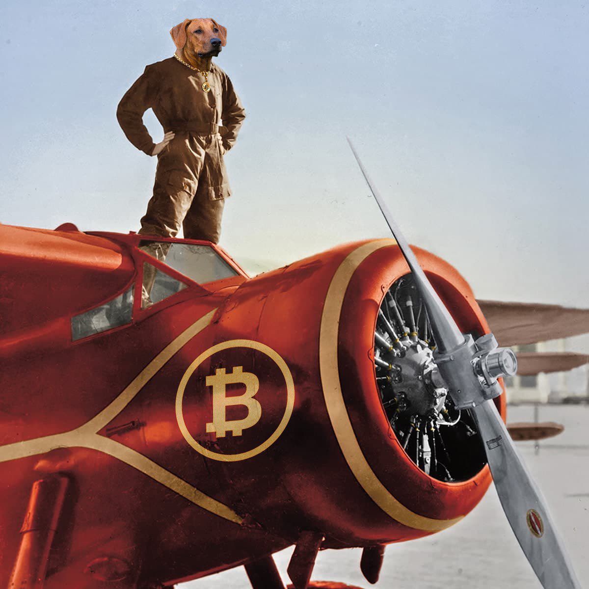 100,000 reasons not to fade $ELSA.

Higher.