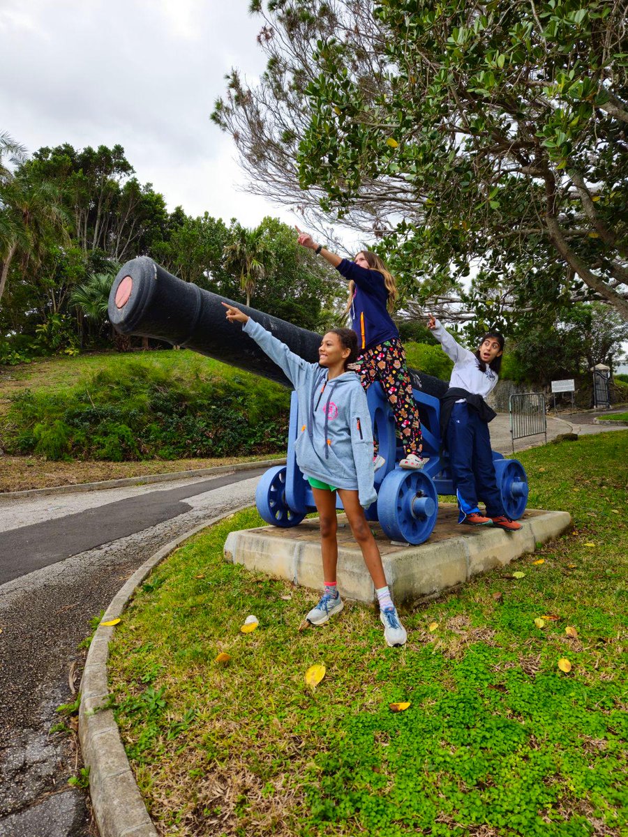 BermudaSportsChallenge tweet media