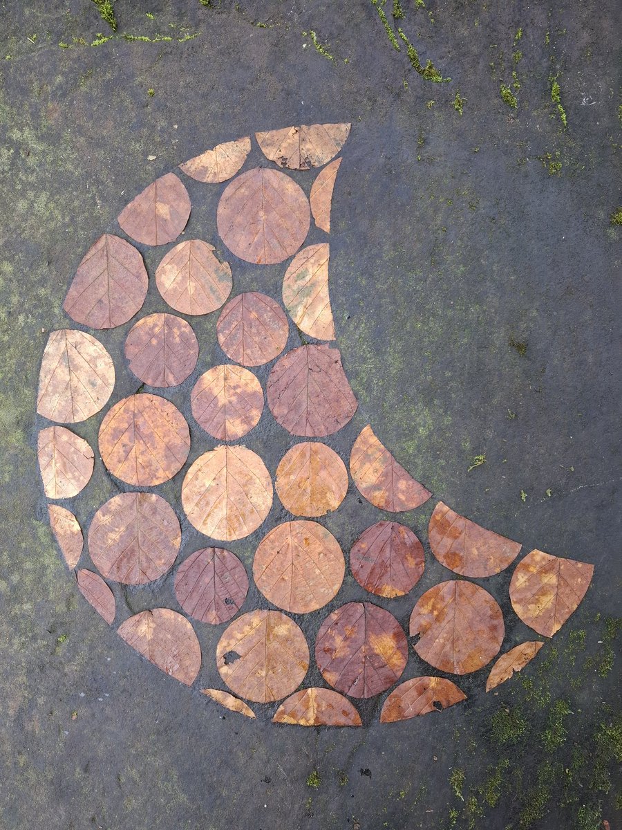 TimPughArtist's tweet photo. Waning Crescent. Deilen Cyll/Hazel leaves. Yeathouse Station Platform,Cumberland. #hydref #autumn #lliw #llifyn #lliwiaeth #ffawydd #hazel #cilch #circles https://t.co/Y4VXdZLcK9