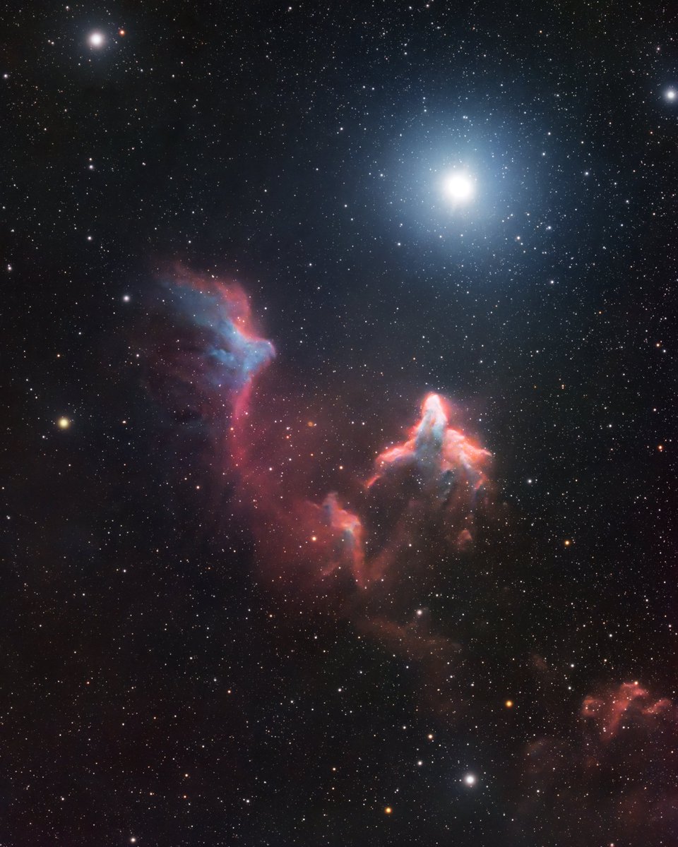 The Ghost of Cassiopeia! 📸

My latest image from the backyard is IC 63 and IC 59. As you can see, this emission/reflection nebulae surrounds the bright star Gamma Cassiopeiae (Navi).

This is the central star in the "W" constellation of Cassiopeia in the night sky. The proximity