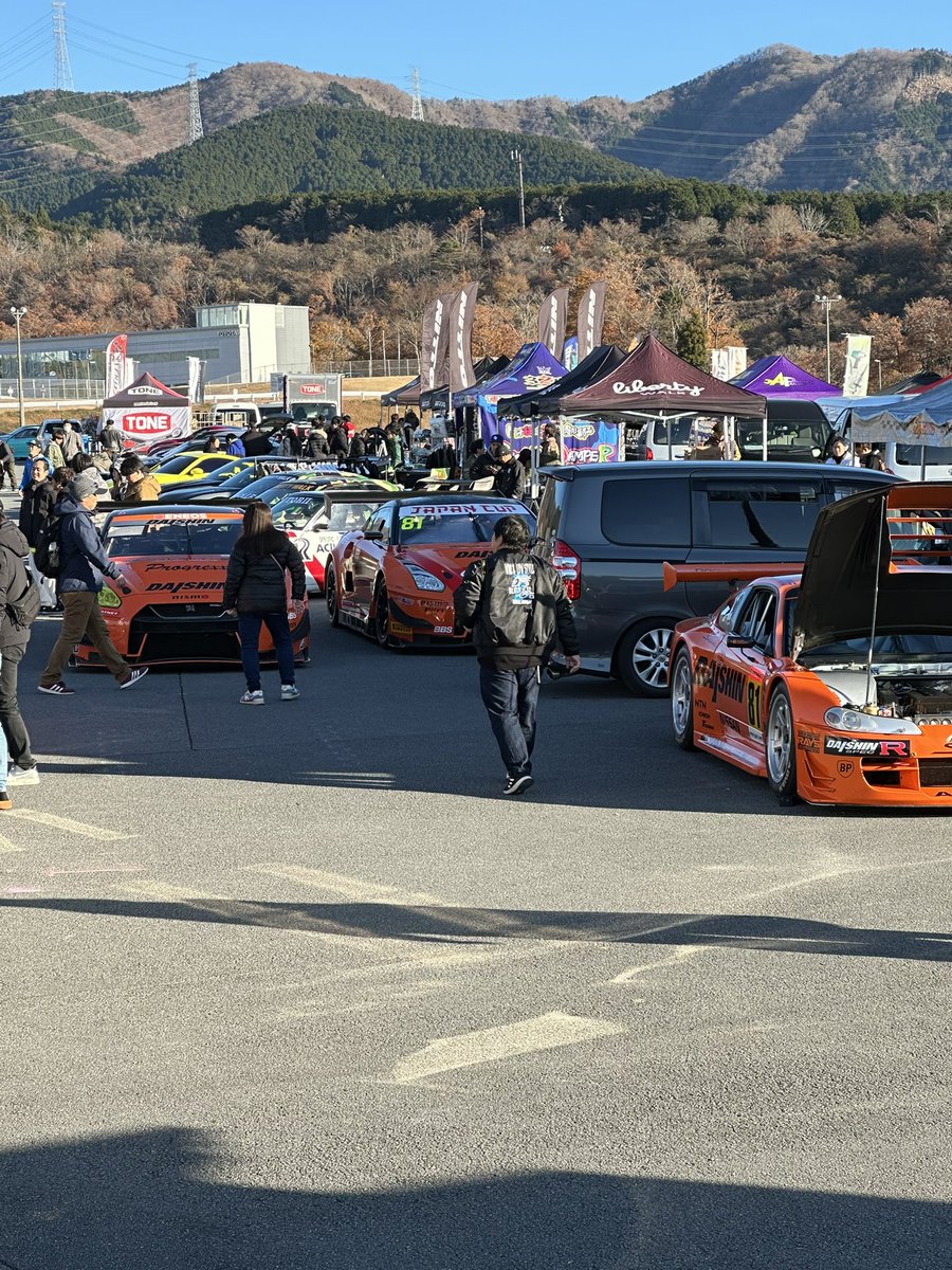 Shallow Bee tweet media