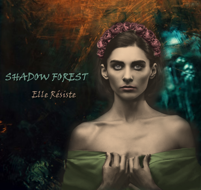 ShadowForest1's tweet image. In January I'll be releasing "Elle Résiste" full of dark atmospherics, ethereal vocals and pulsing beats. 
Track list: 
1. Call of the Wild 
2. Runaway 
3. Give Me Strength 
4. Retribution 
5. The Dream Window 
6. Underground Resistance 
7. Witching Hour 
8. Christina's World